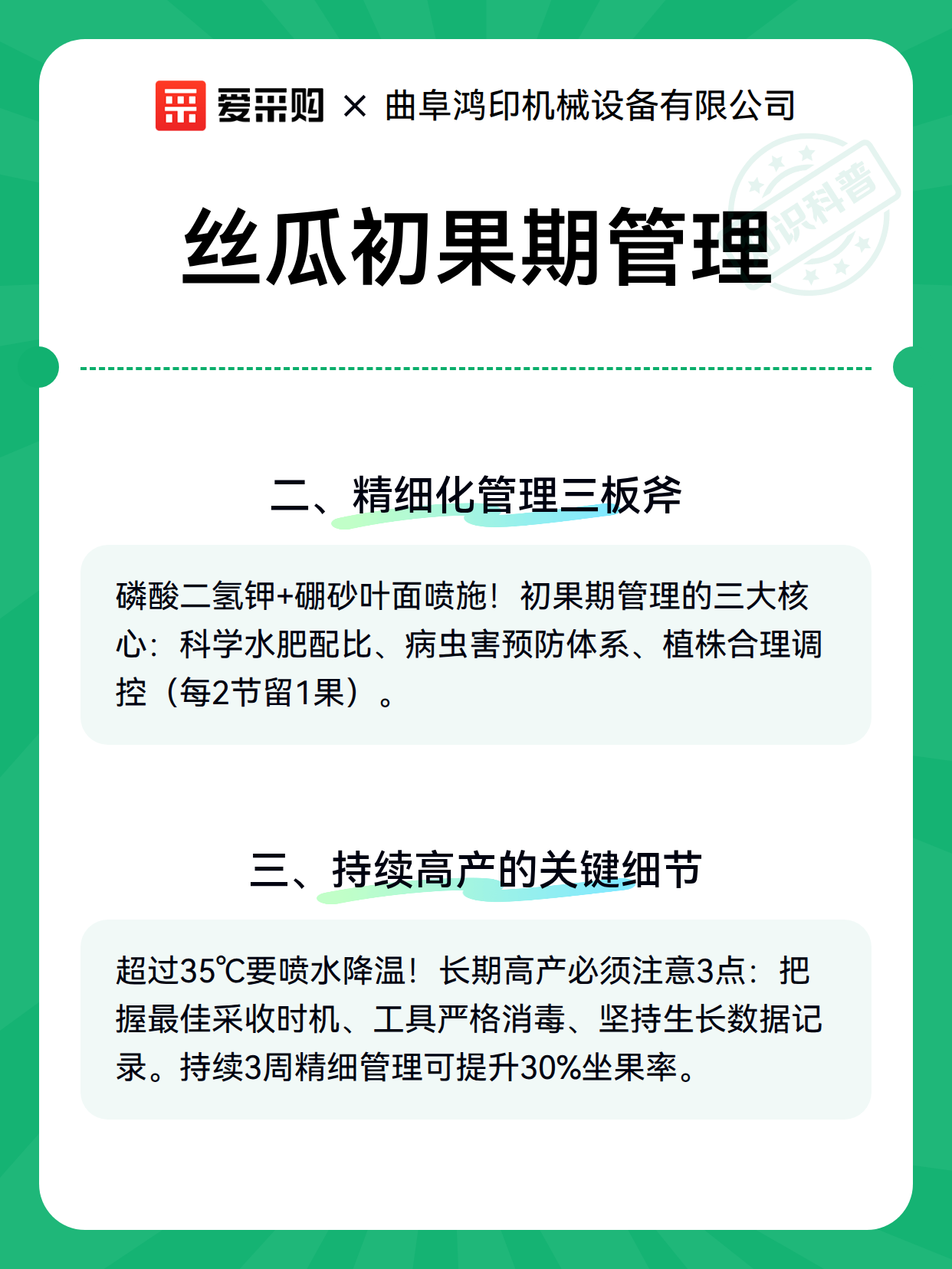 丝瓜初果期管理（图2）