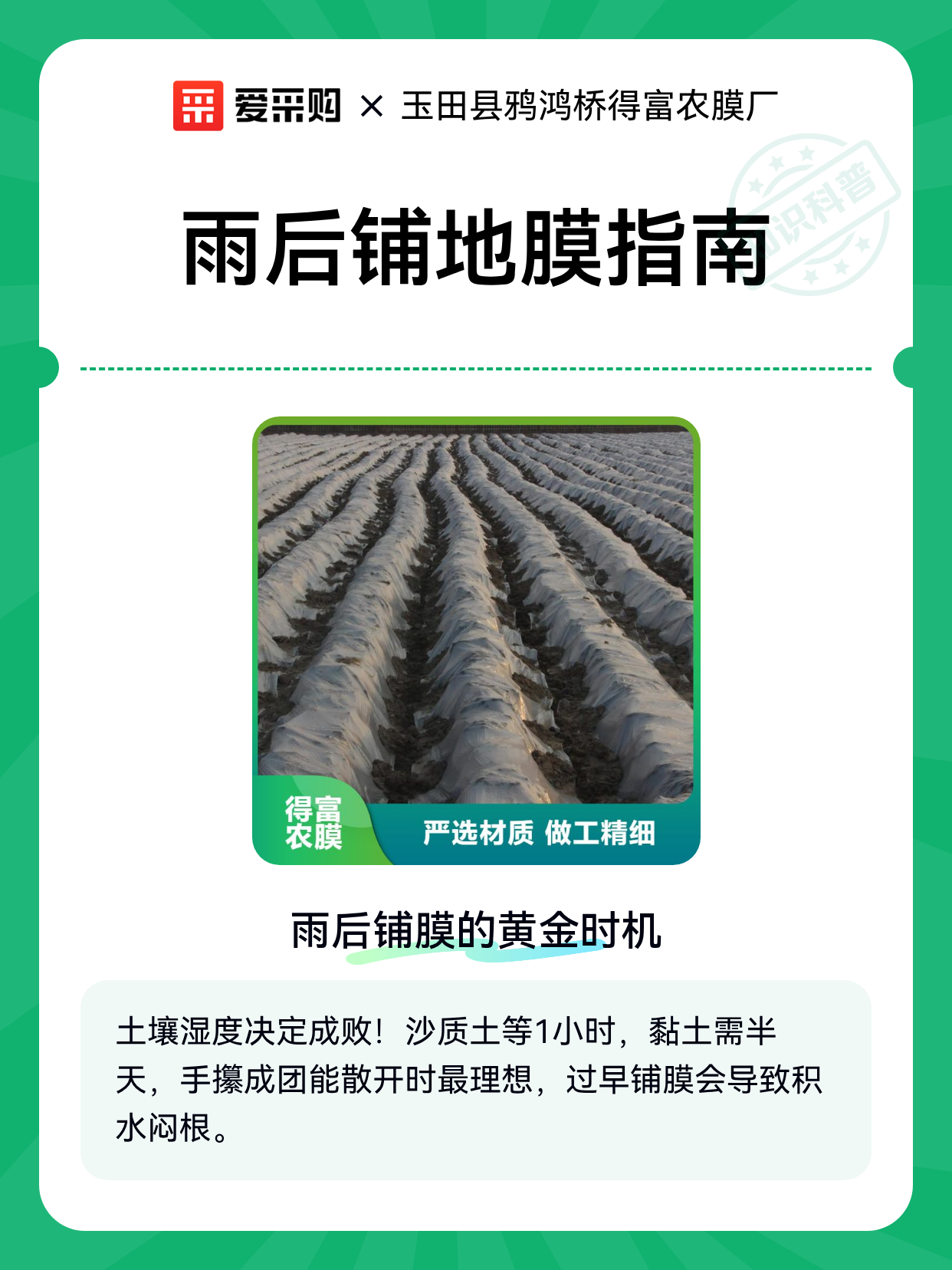雨后铺地膜指南（图1）