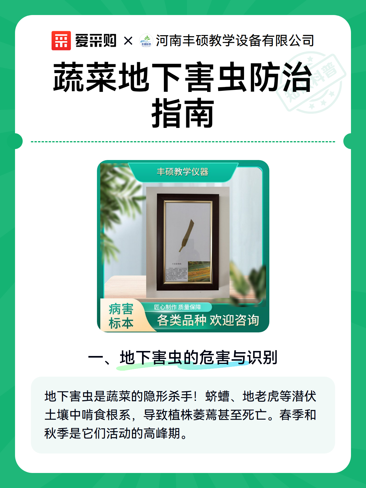 蔬菜地下害虫防治指南（图2）