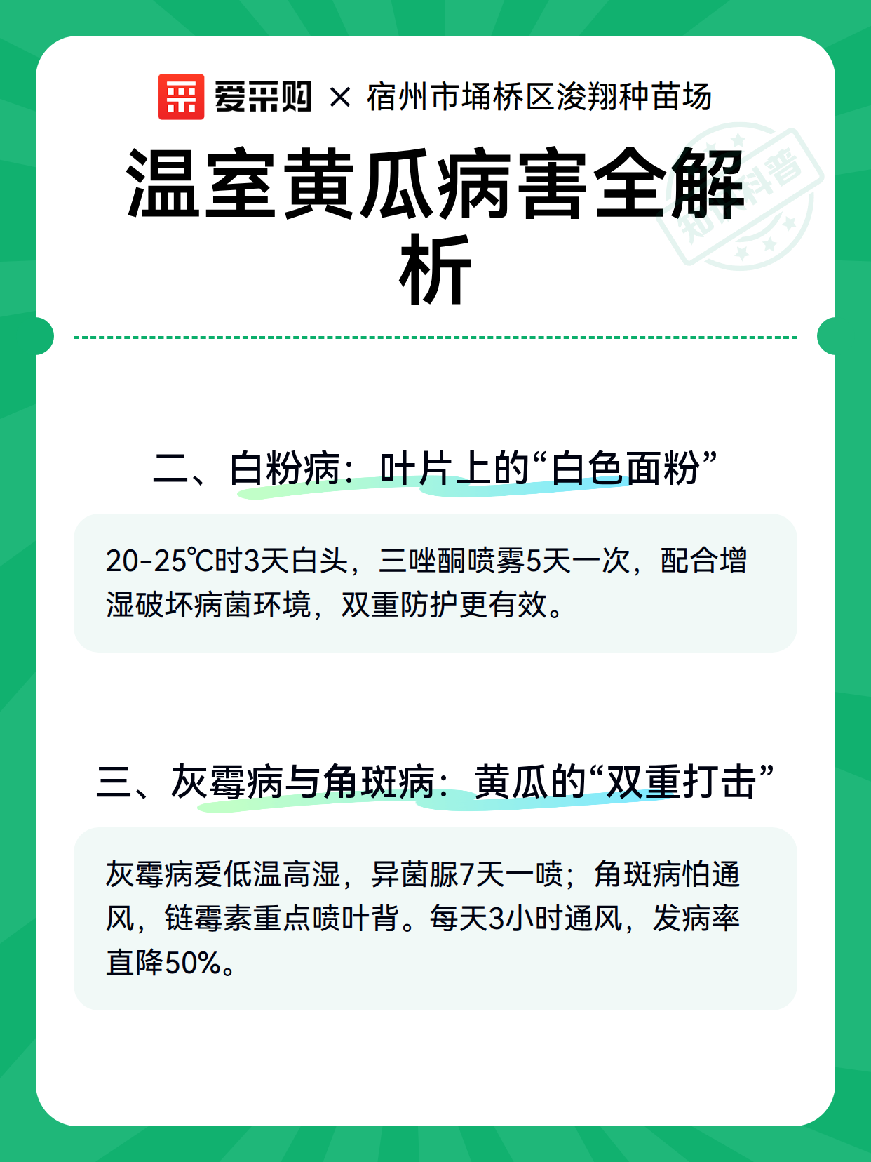 温室黄瓜病害全解析（图3）