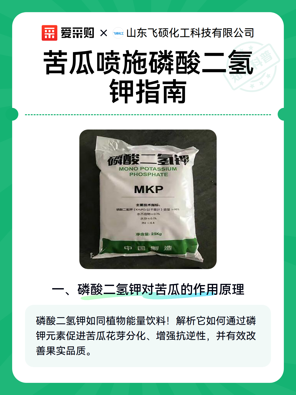 苦瓜喷施磷酸二氢钾指南（图2）