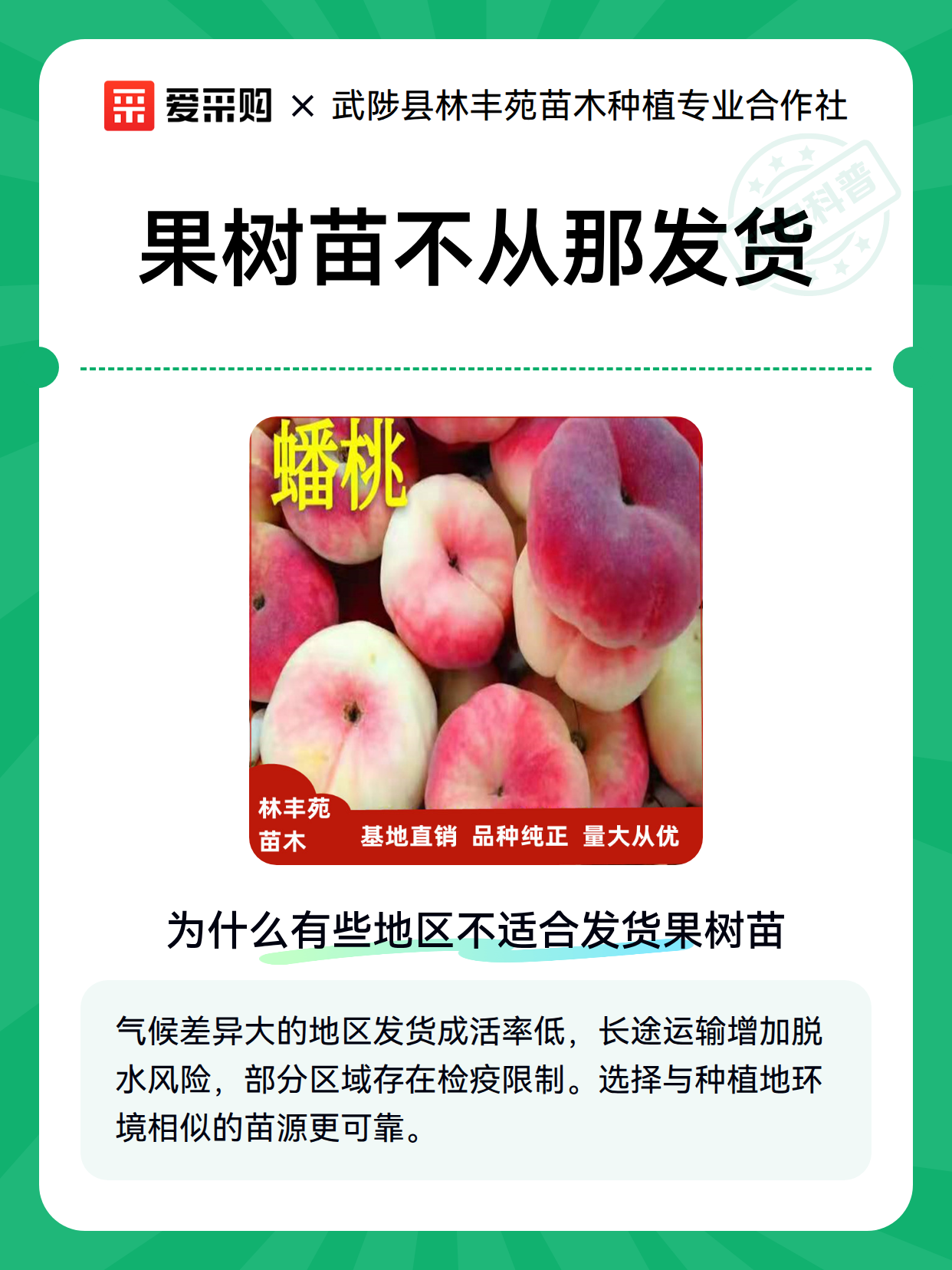 果树苗不从那发货（图2）