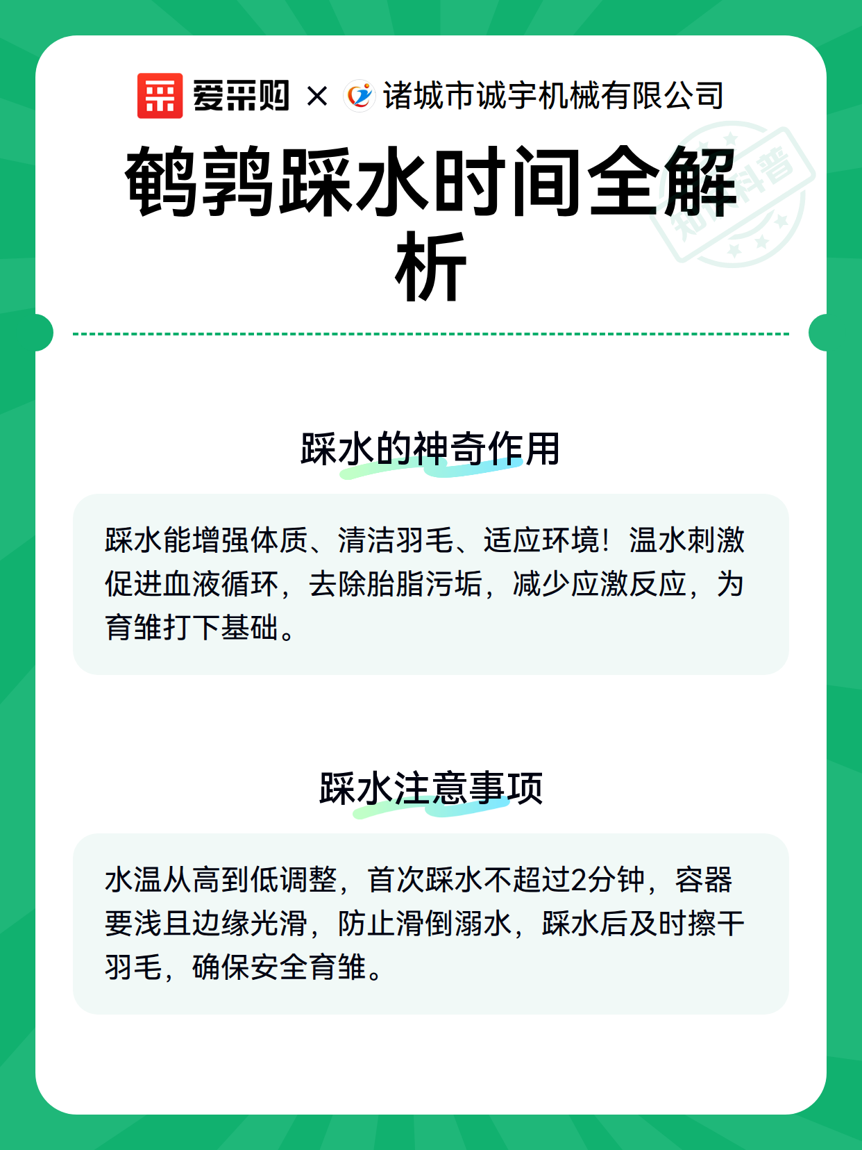 鹌鹑踩水时间全解析（图3）