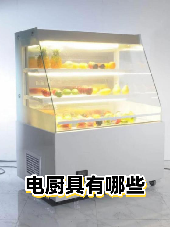 电厨具有哪些（图1）