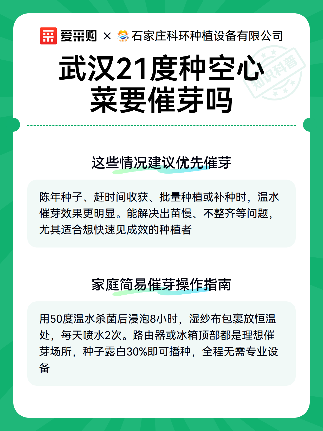 武汉21度种空心菜要催芽吗（图3）