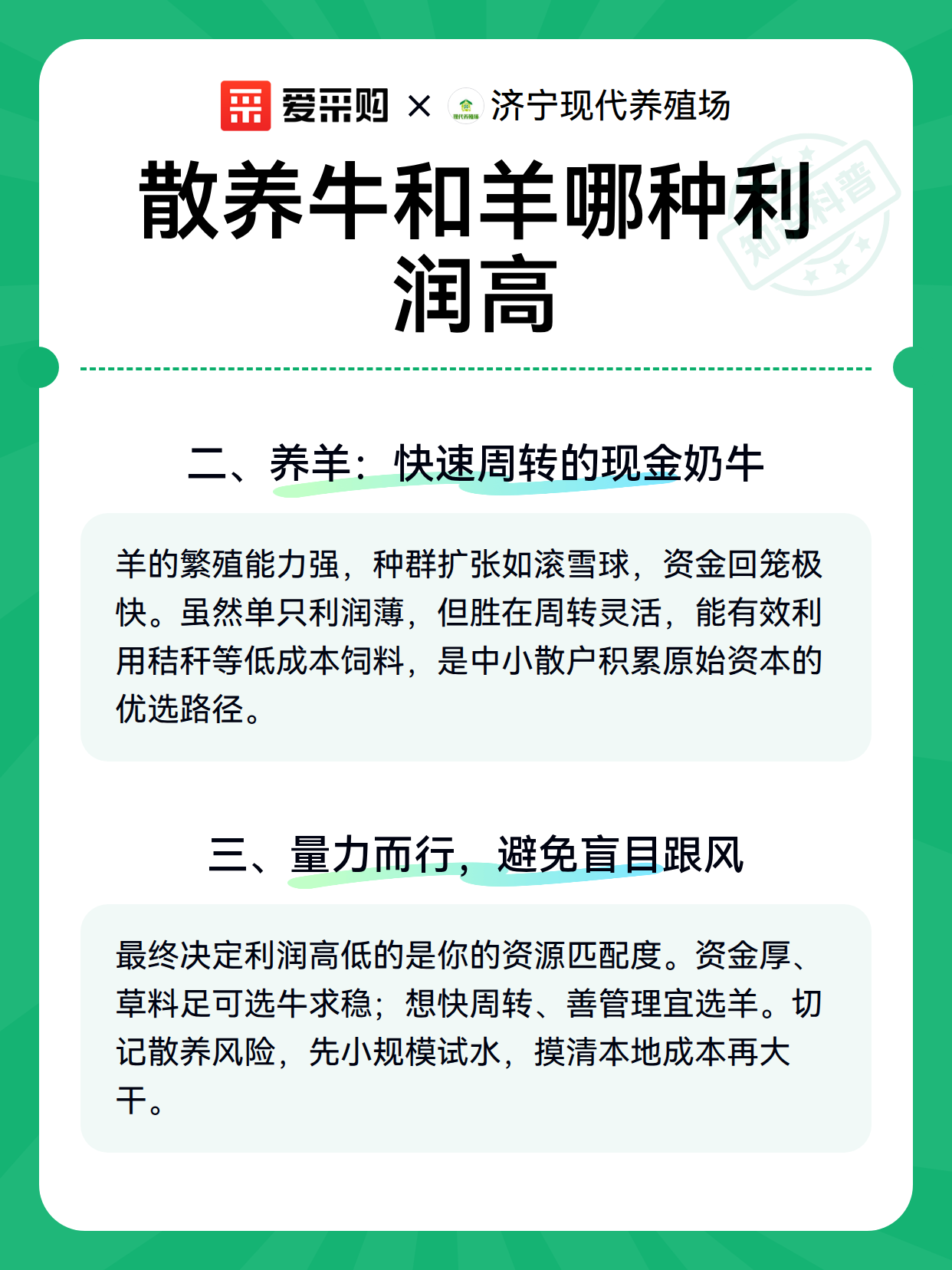散养牛和羊哪种利润高（图2）