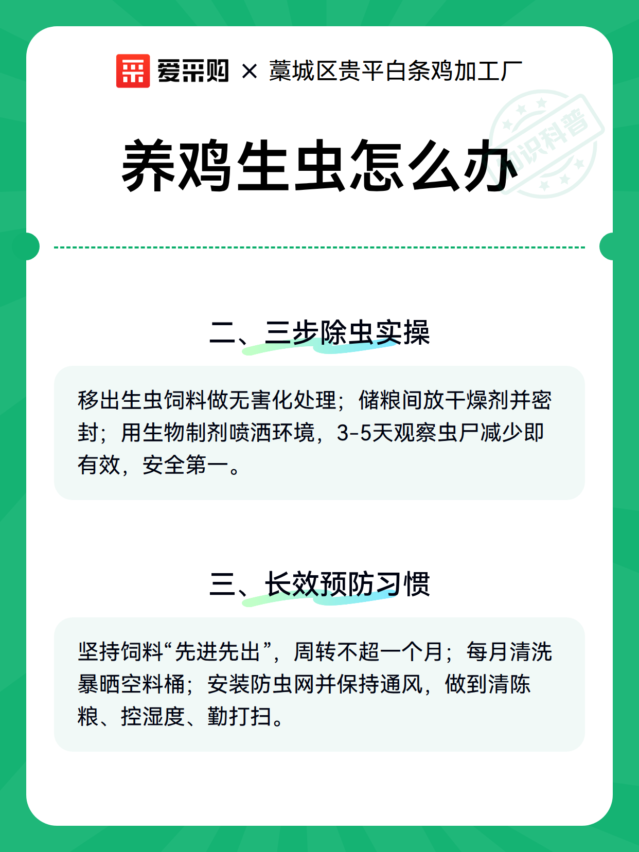 养鸡生虫怎么办（图2）