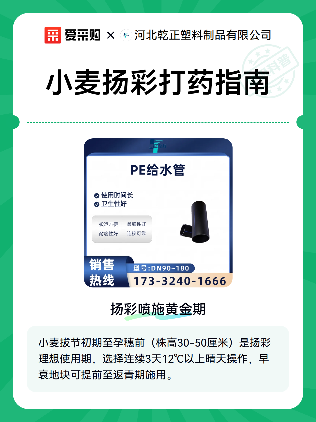 小麦扬彩打药指南（图1）