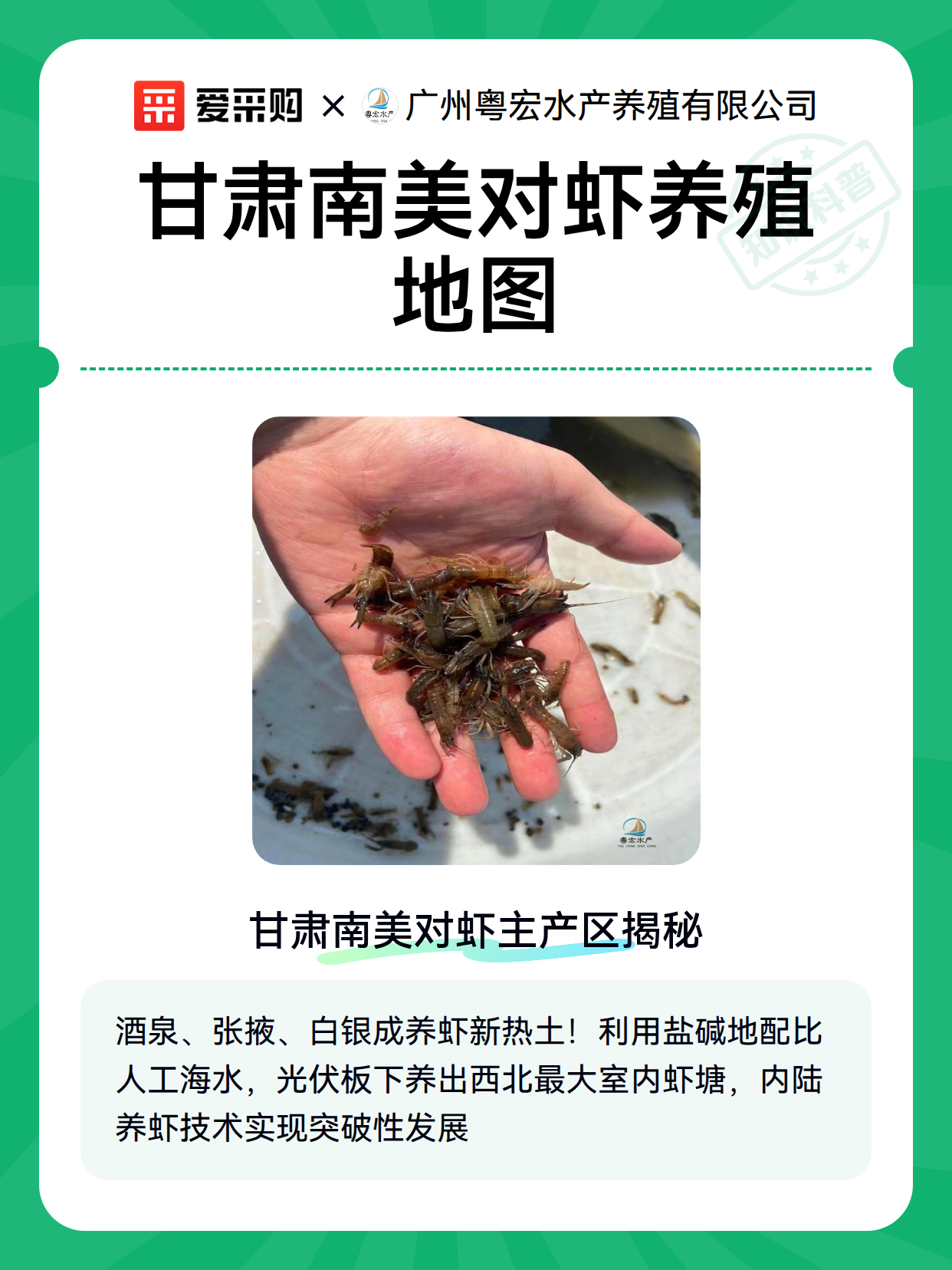 甘肃南美对虾养殖地图（图2）