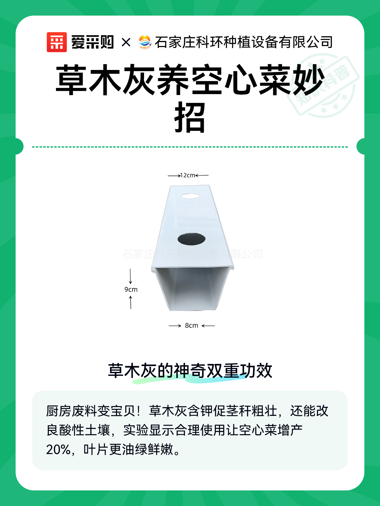 草木灰养空心菜妙招（图1）