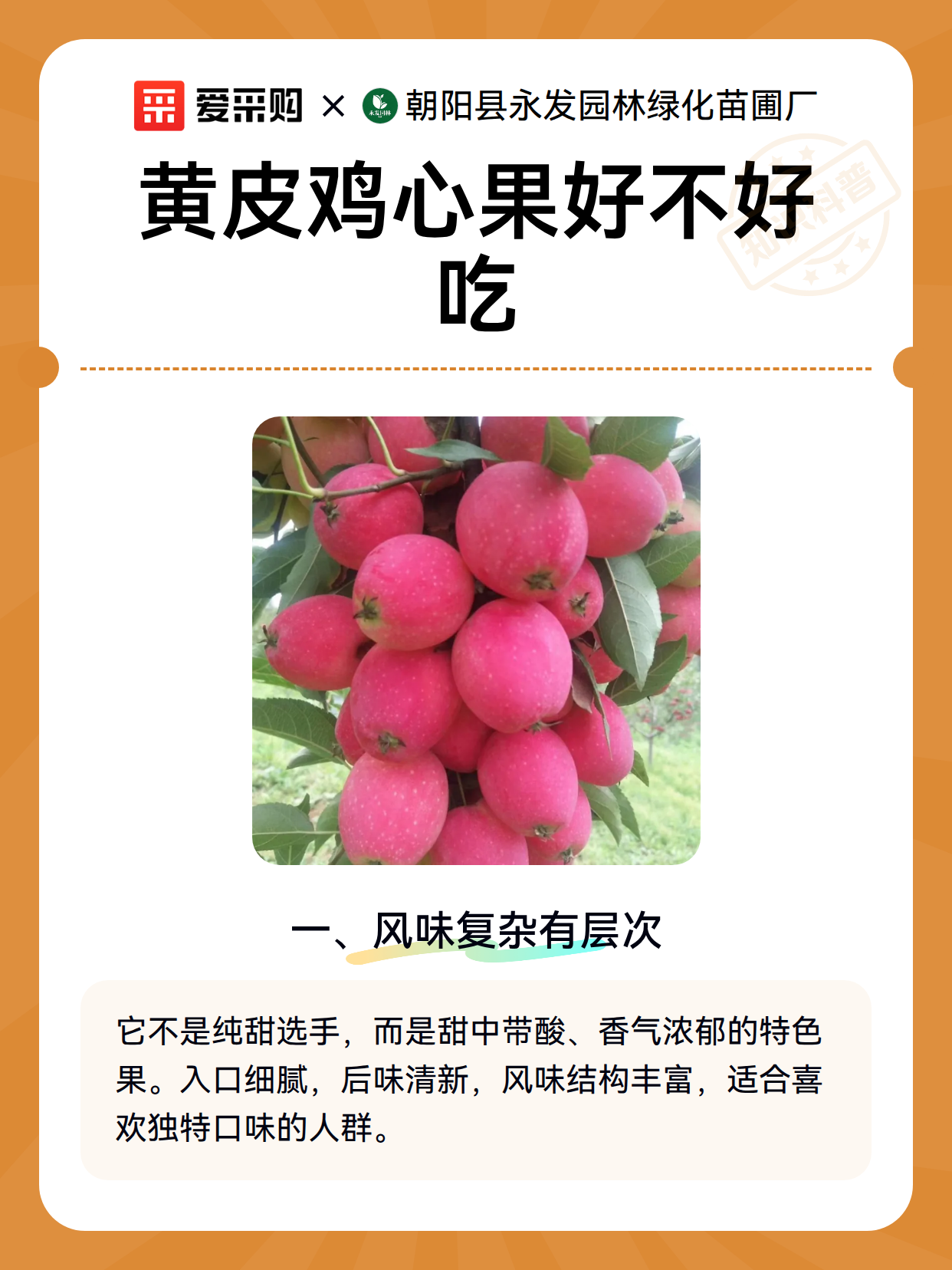 黄皮鸡心果好不好吃（图2）