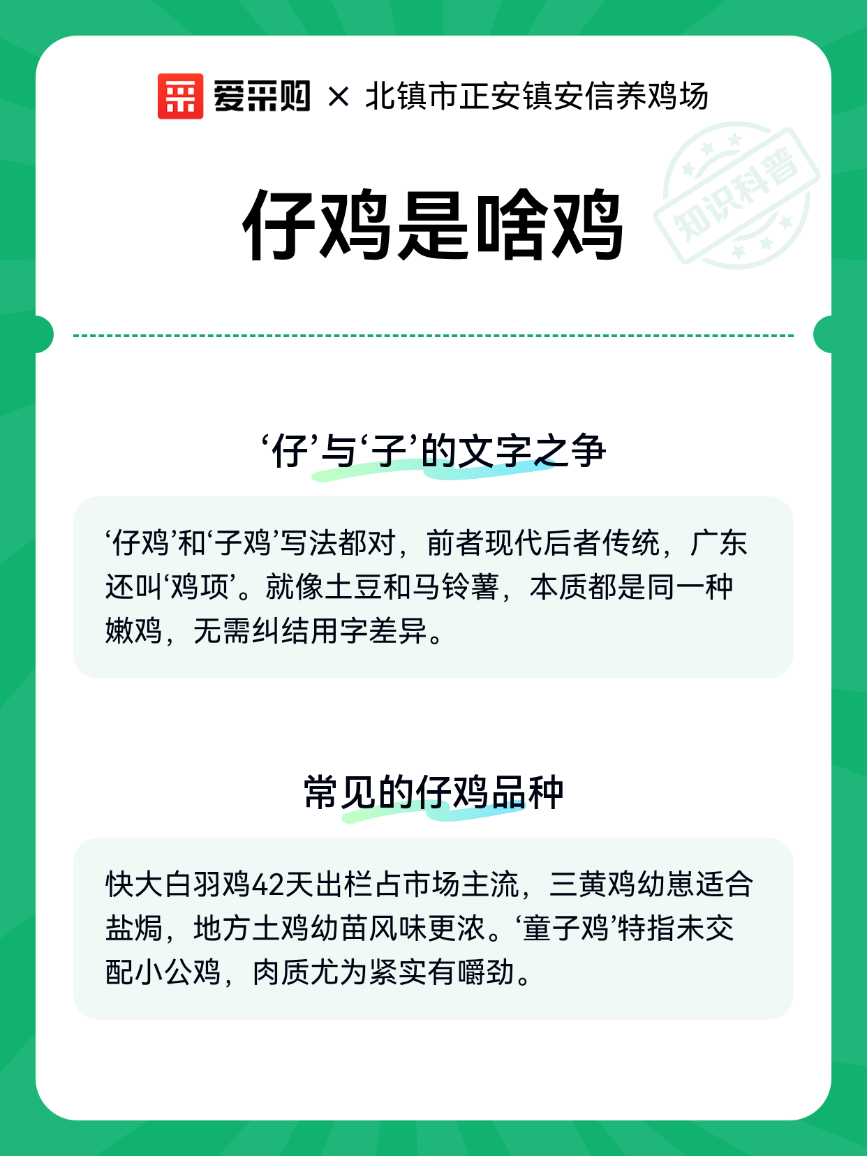 仔鸡是啥鸡（图2）