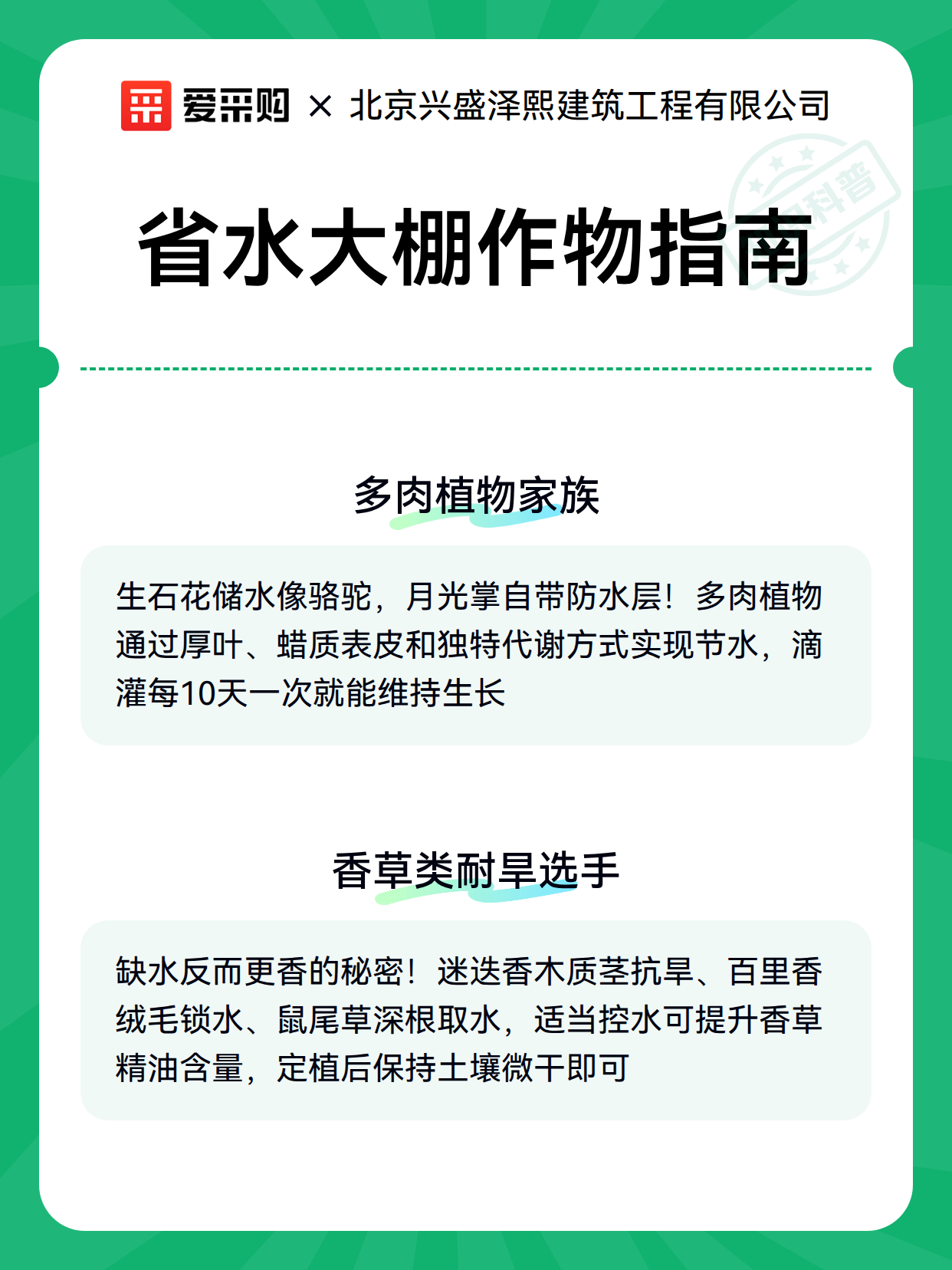 省水大棚作物指南（图3）