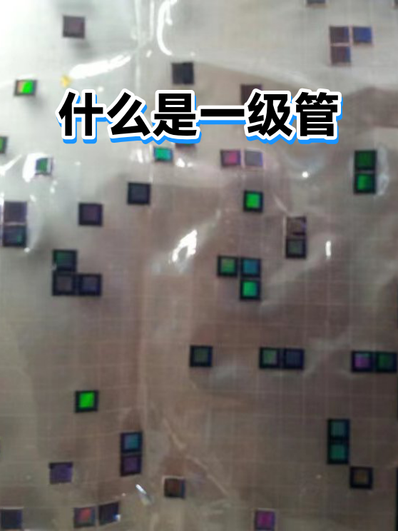 image-1