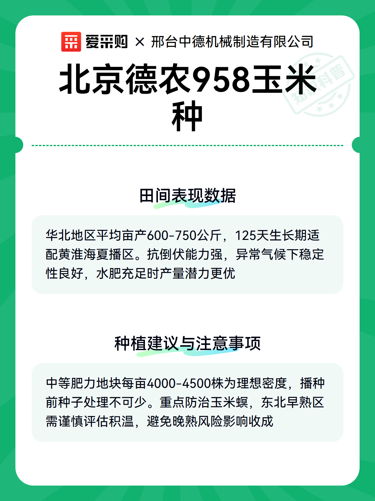 北京德农958玉米种（图3）