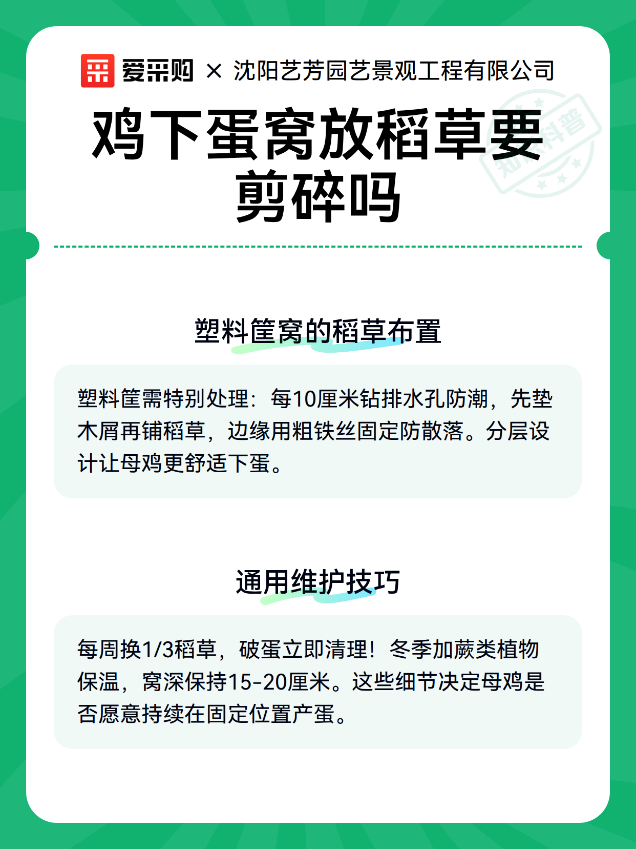 鸡下蛋窝放稻草要剪碎吗（图2）