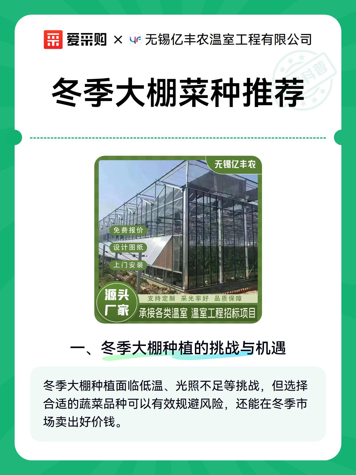 冬季大棚菜种推荐（图2）