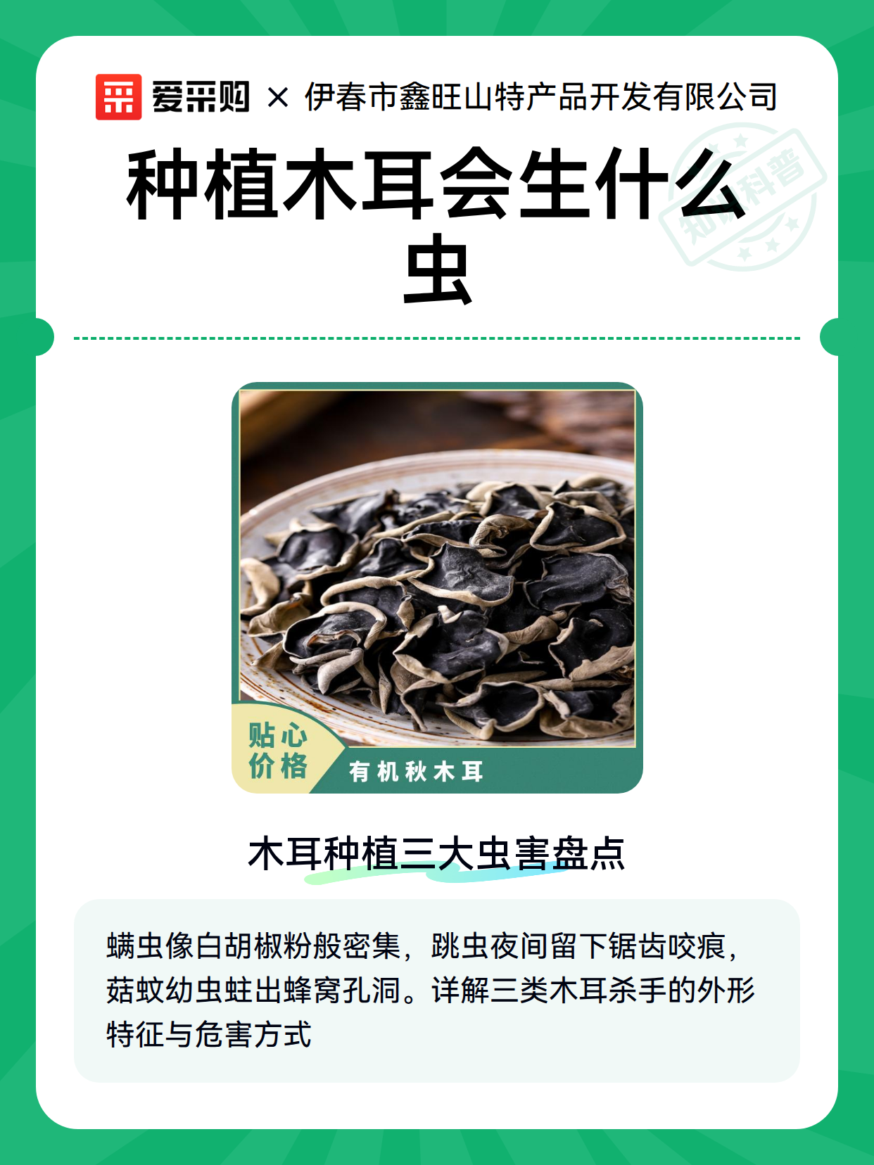 种植木耳会生什么虫（图2）