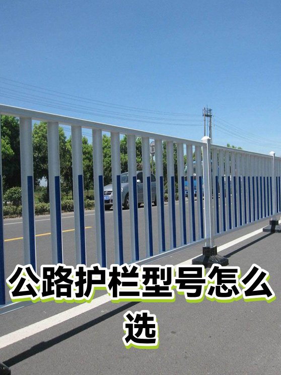 公路护栏型号怎么选（图1）