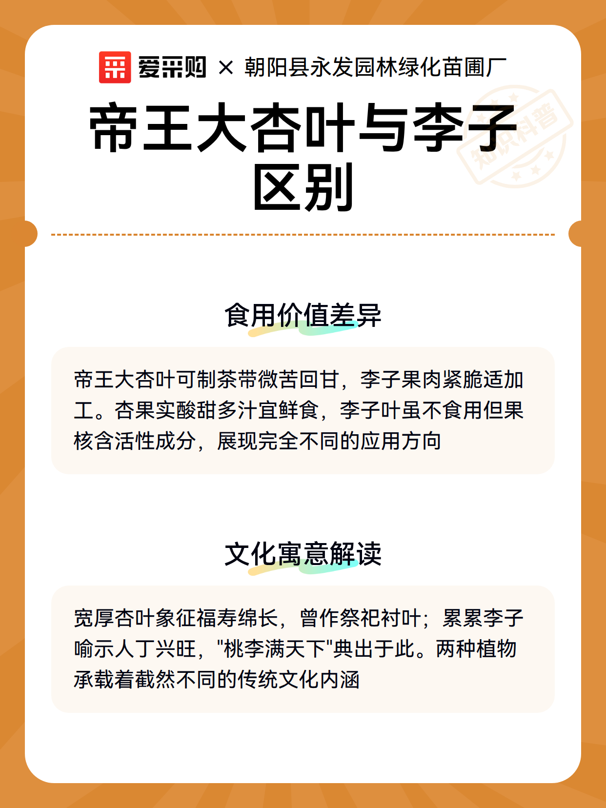帝王大杏叶与李子区别（图3）