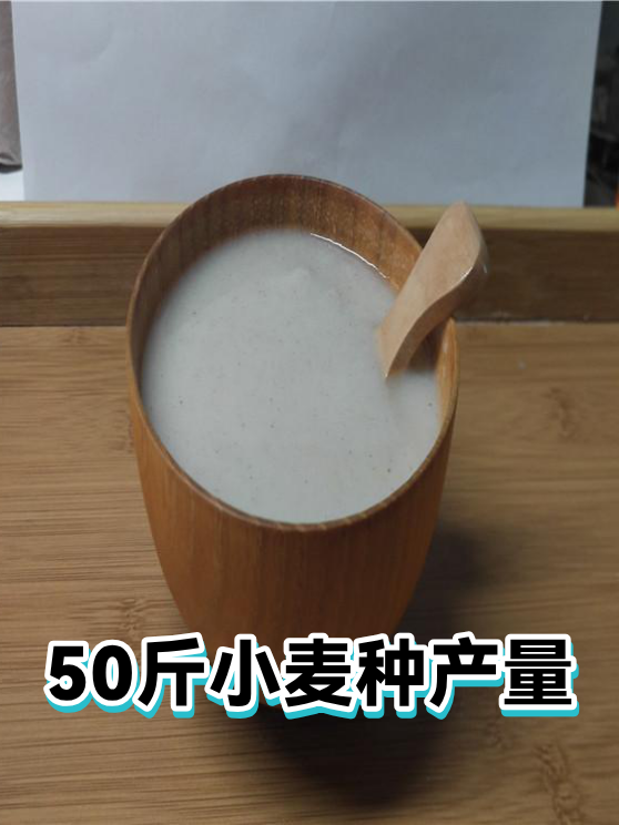 50斤小麦种产量（图1）