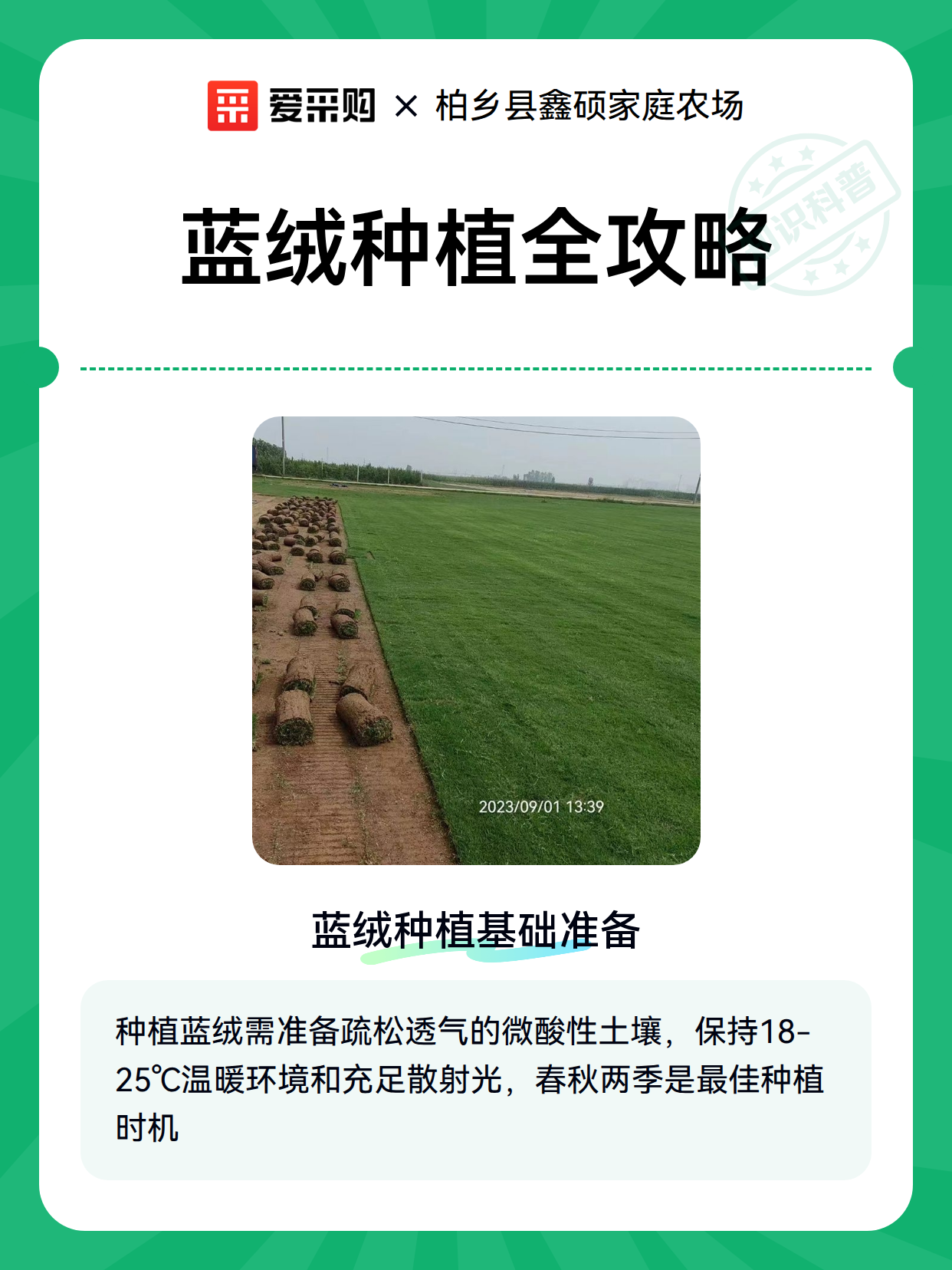 蓝绒种植全攻略（图2）