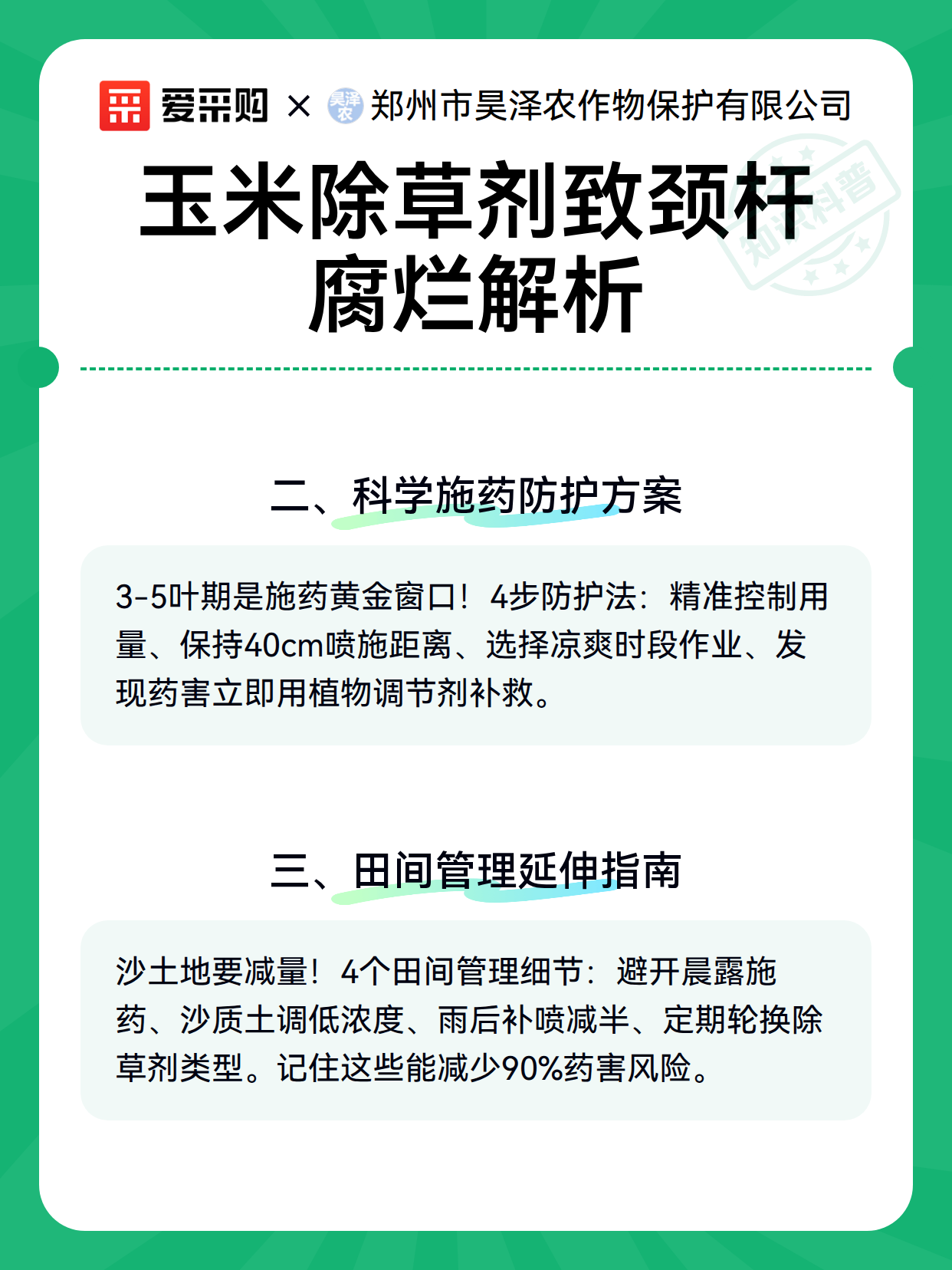 玉米除草剂致颈杆腐烂解析（图3）