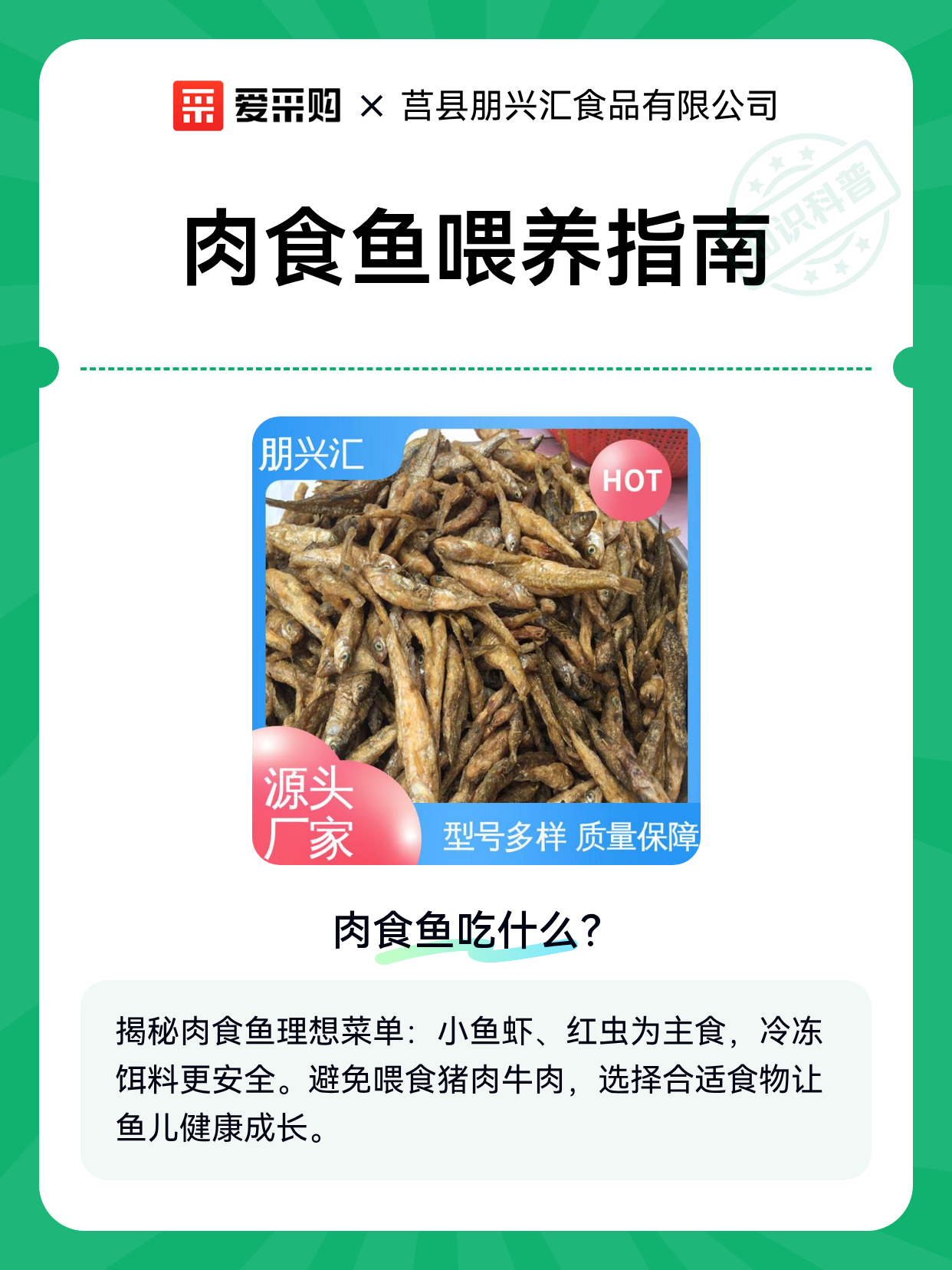 肉食鱼喂养指南（图1）