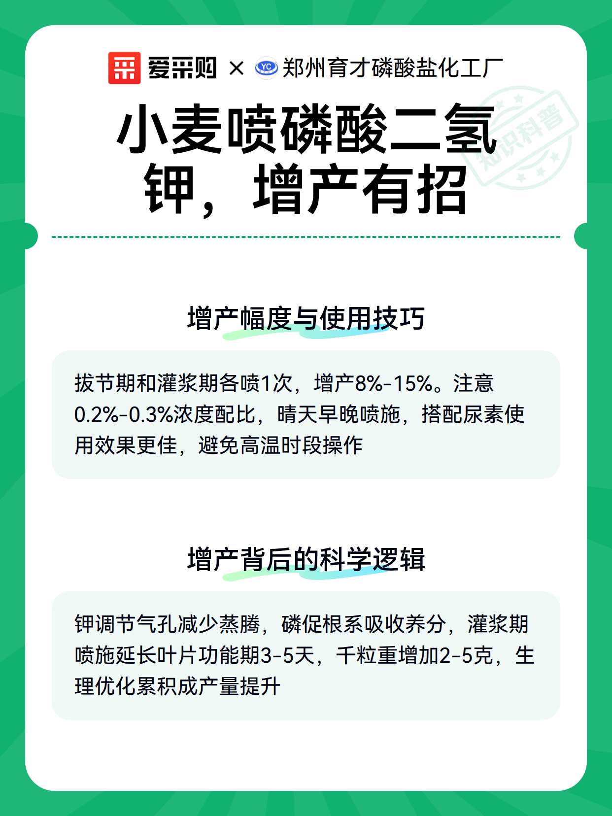 小麦喷磷酸二氢钾，增产有招（图3）