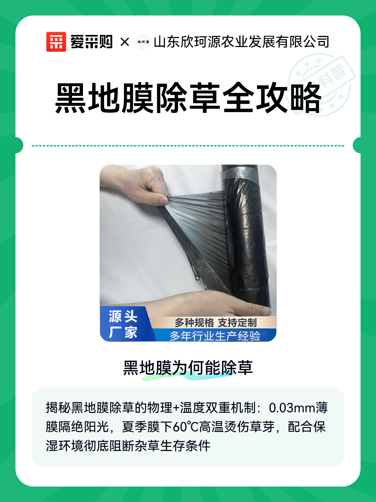 黑地膜除草全攻略（图1）