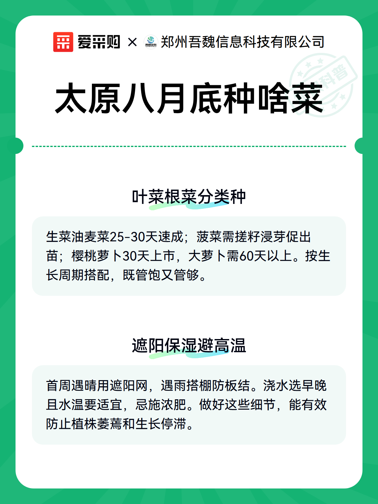 太原八月底种啥菜（图3）