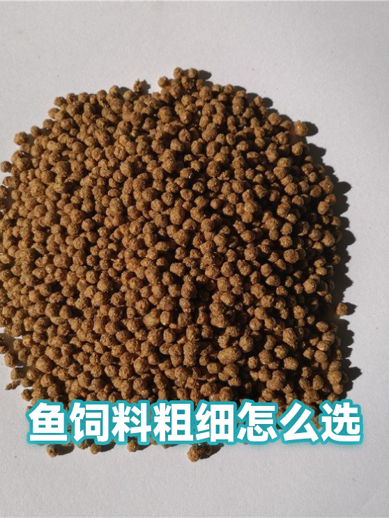 鱼饲料粗细怎么选（图1）