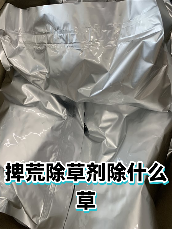 捭荒除草剂除什么草（图1）