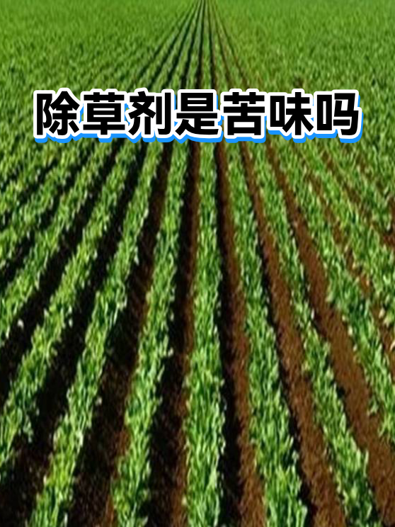 除草剂是苦味吗（图1）