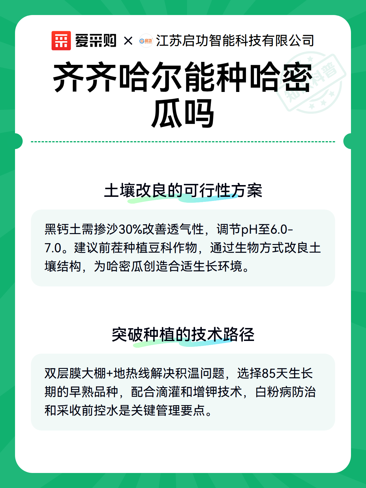 齐齐哈尔能种哈密瓜吗（图3）