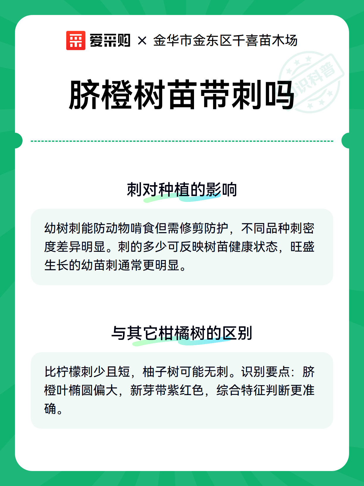 脐橙树苗带刺吗（图3）