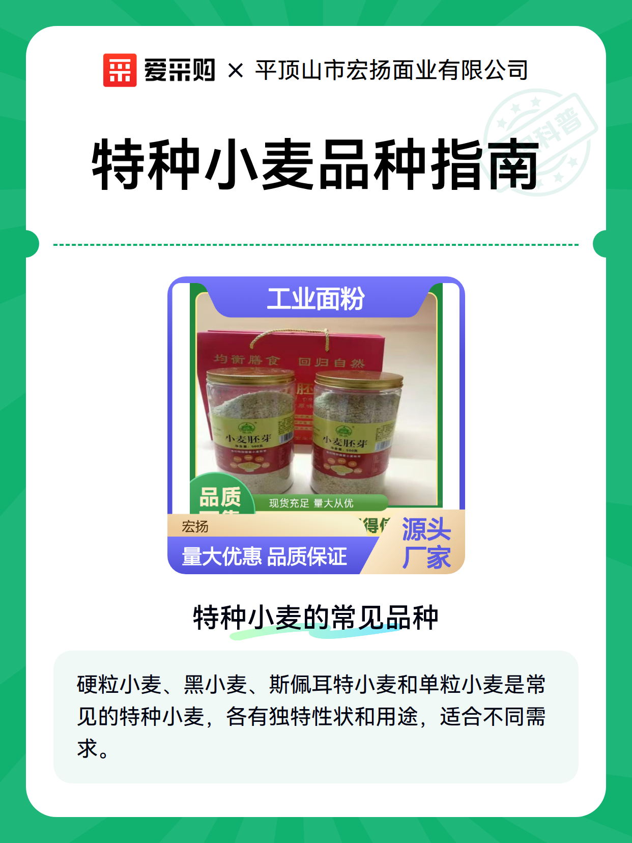 特种小麦品种指南（图1）