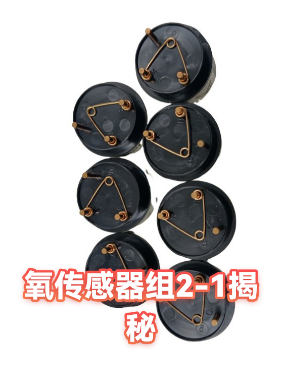 氧传感器组2-1揭秘（图1）