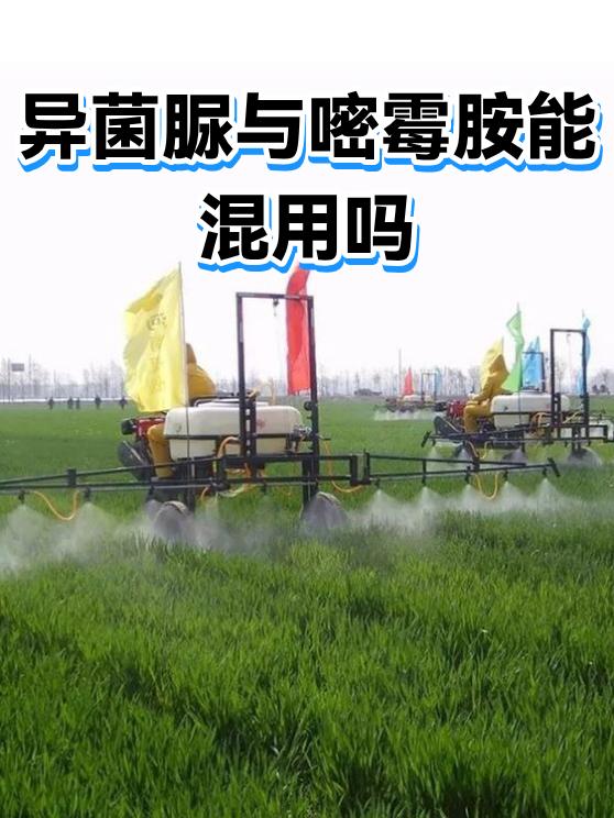 异菌脲与嘧霉胺能混用吗（图1）