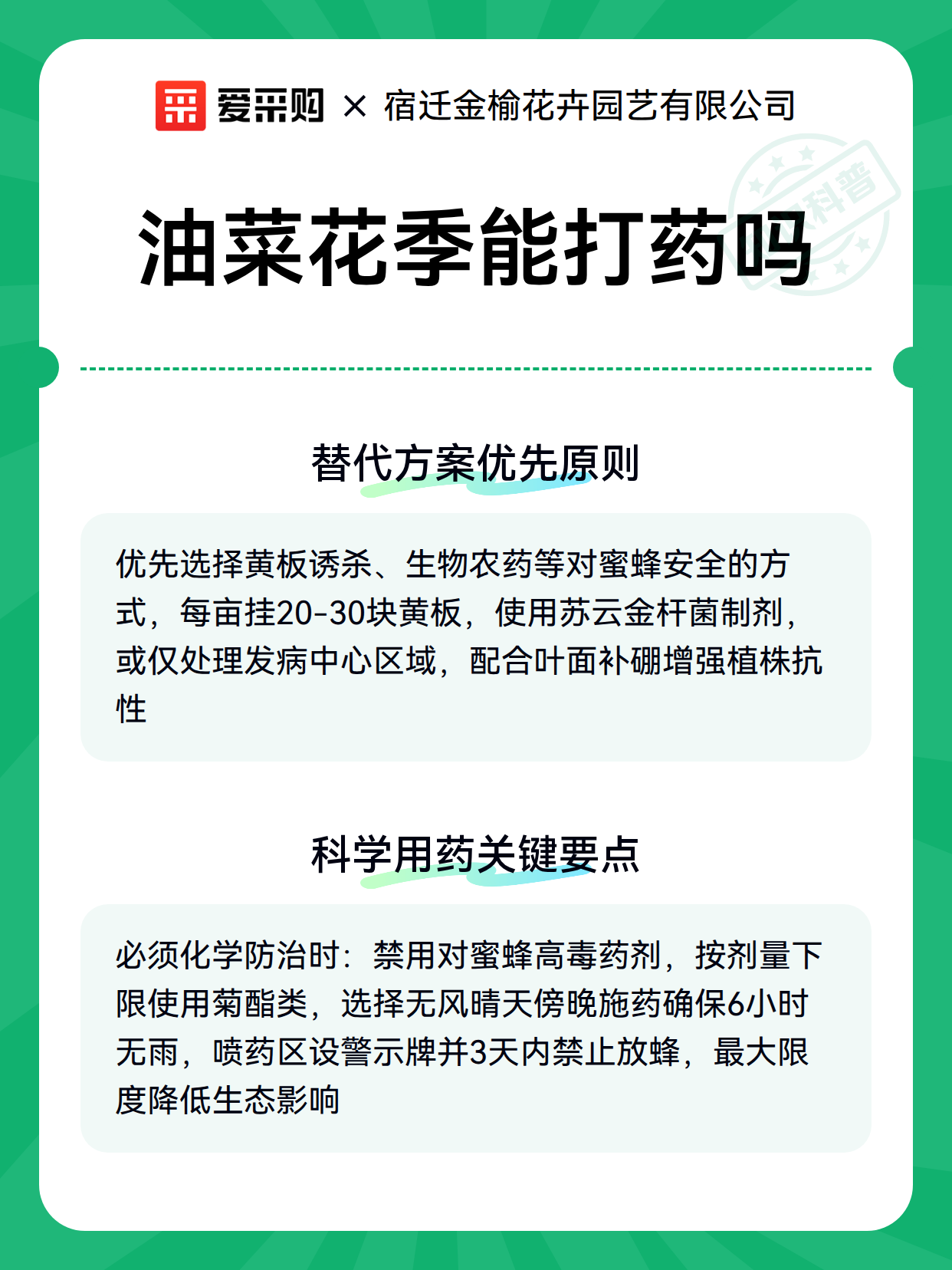 油菜花季能打药吗（图3）