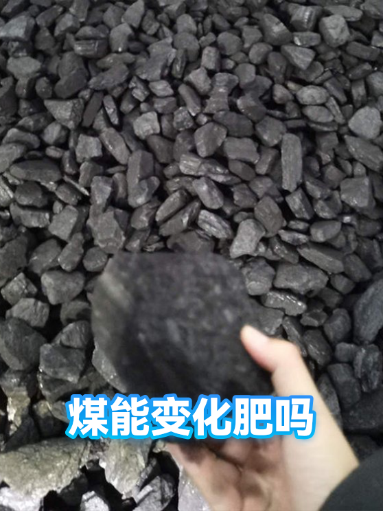 煤能变化肥吗（图1）