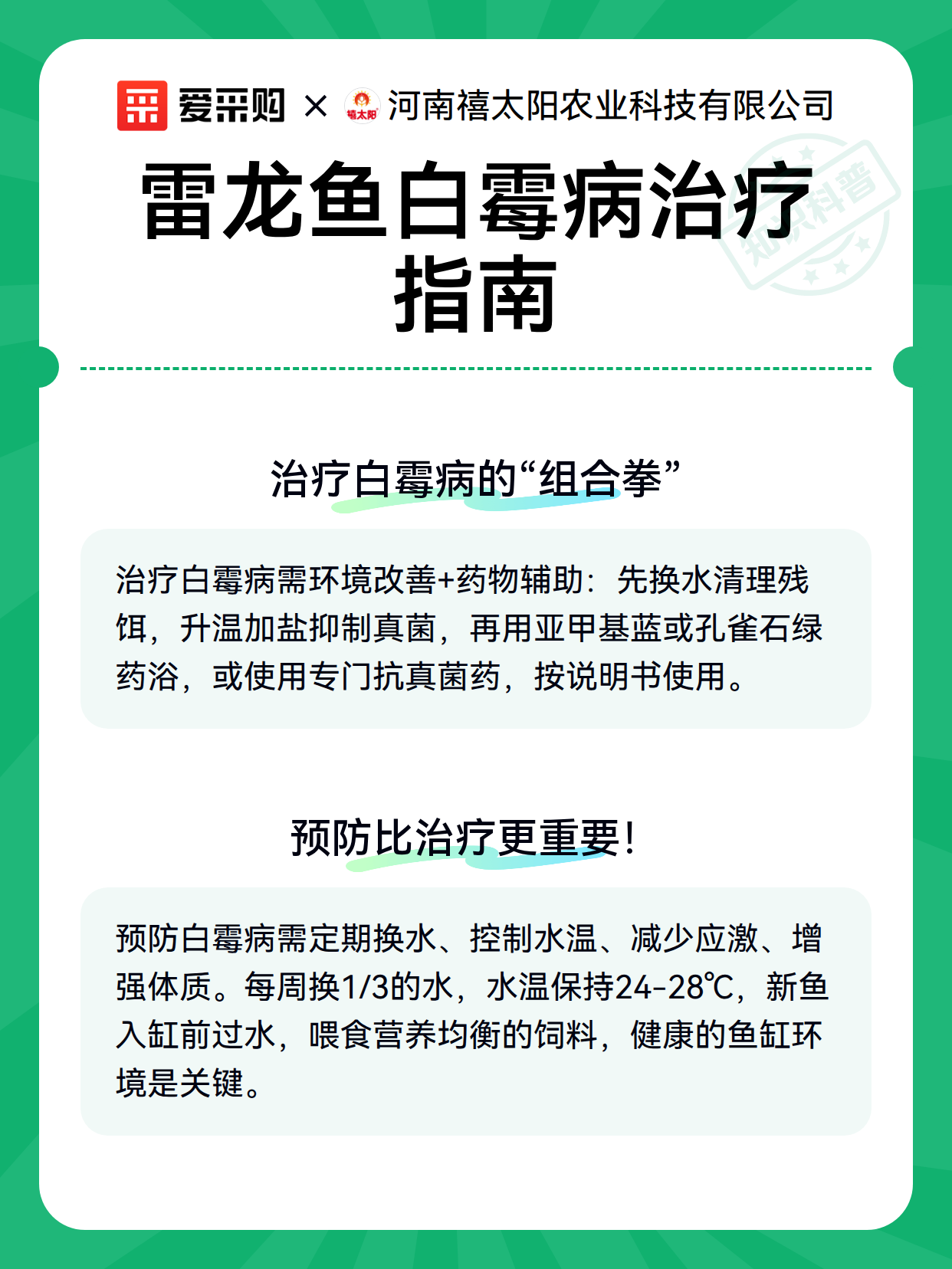 雷龙鱼白霉病治疗指南（图3）