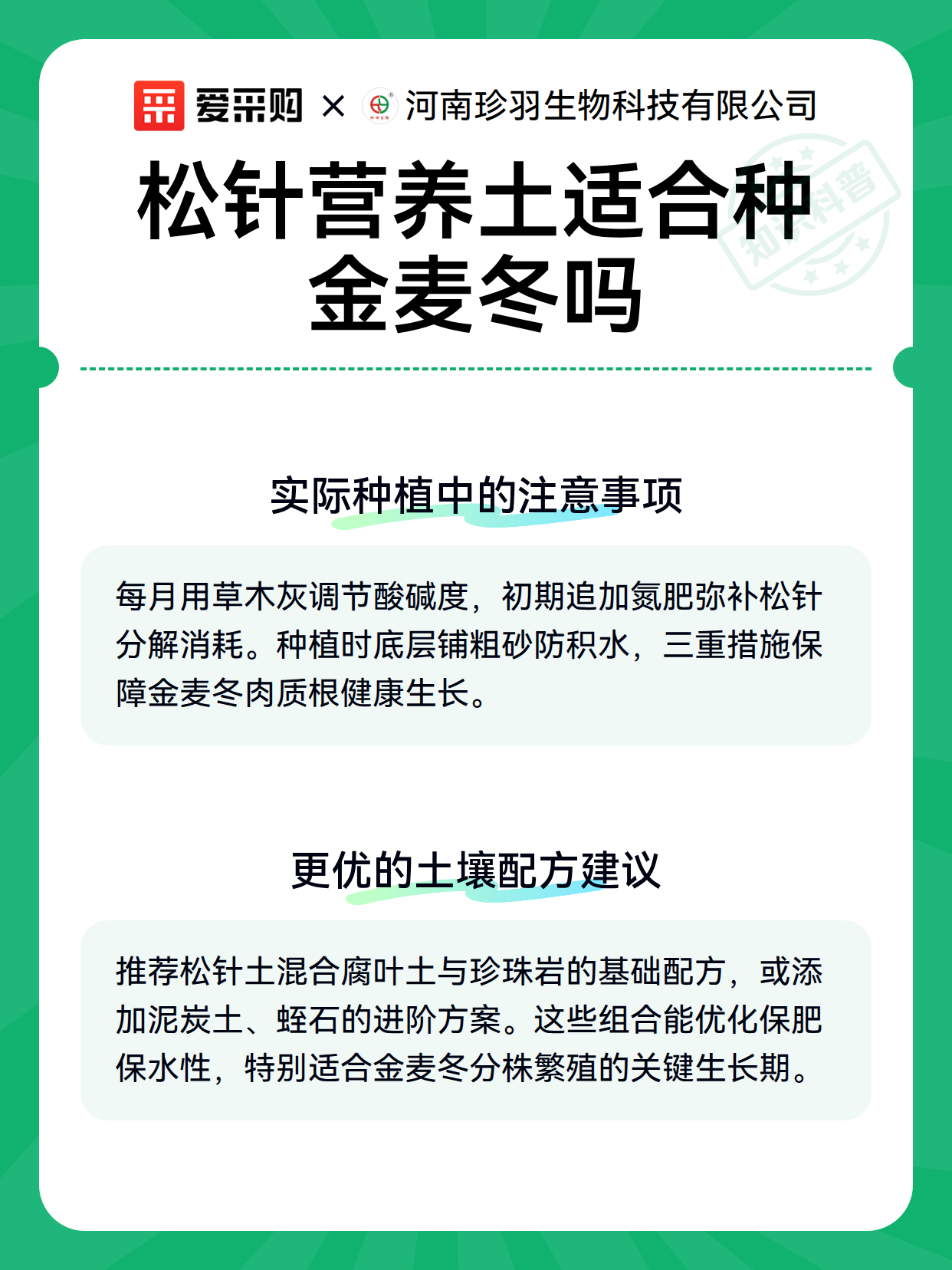 松针营养土适合种金麦冬吗（图3）