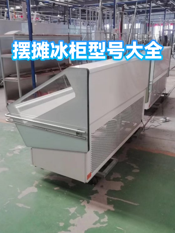 摆摊冰柜型号大全（图1）