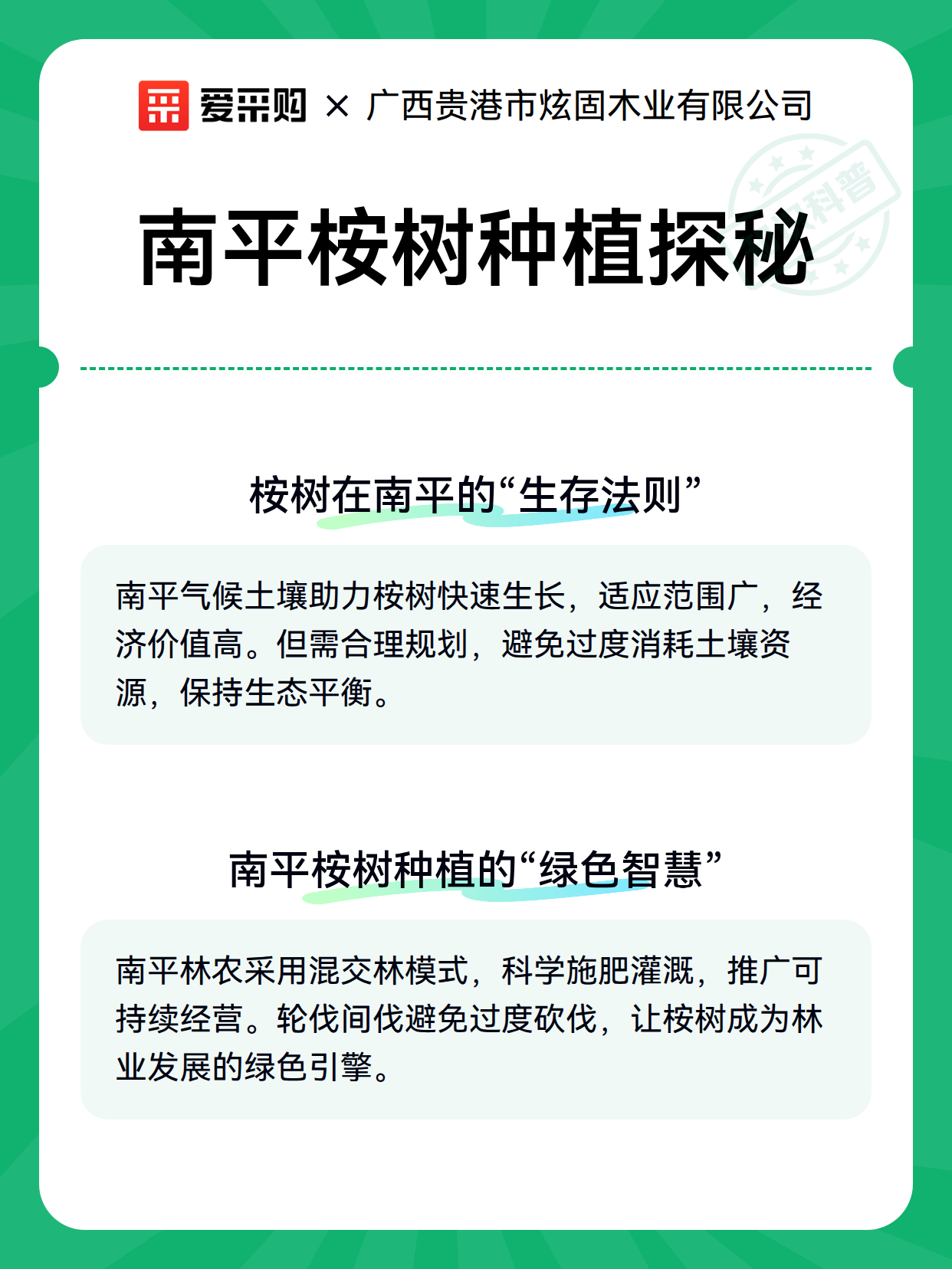 南平桉树种植探秘（图2）