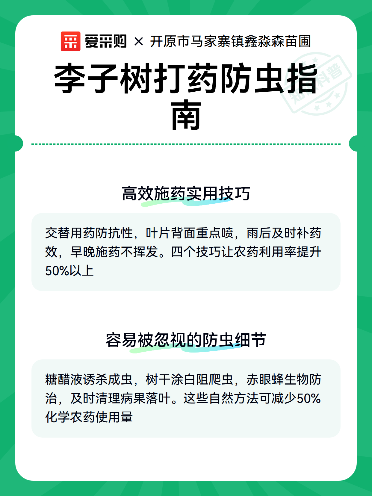 李子树打药防虫指南（图3）