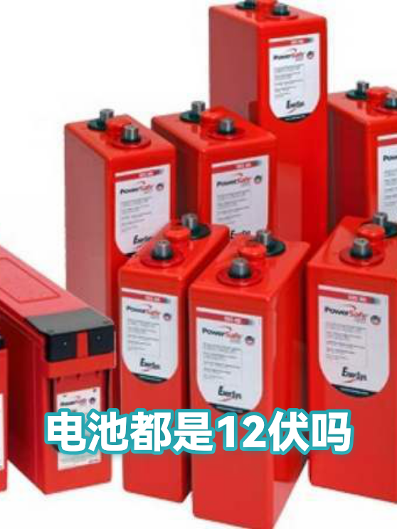 电池都是12伏吗（图1）