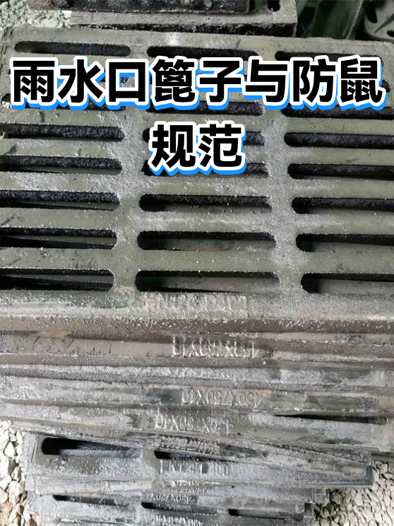 雨水口篦子与防鼠规范（图1）