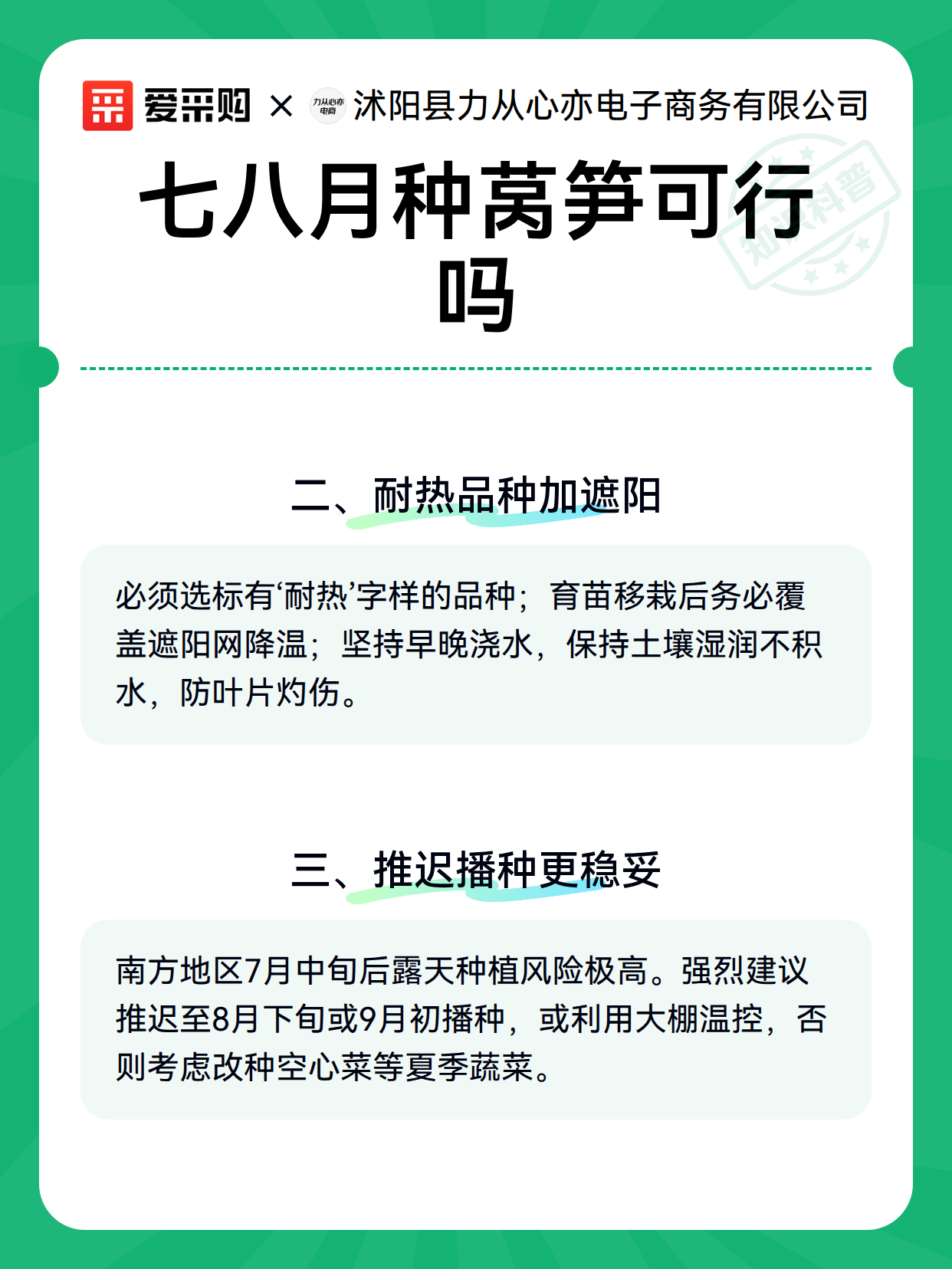 七八月种莴笋可行吗（图2）