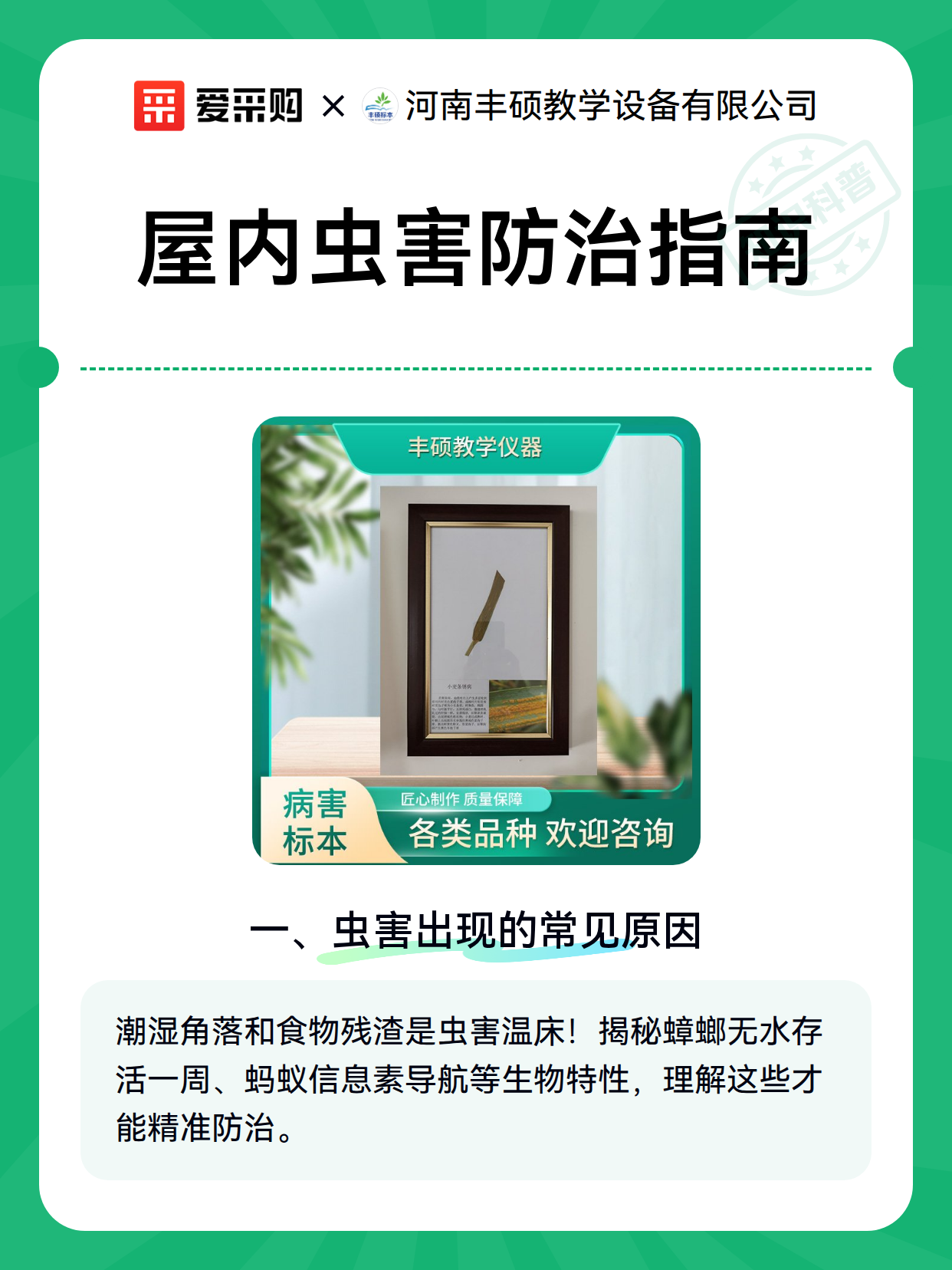 屋内虫害防治指南（图2）